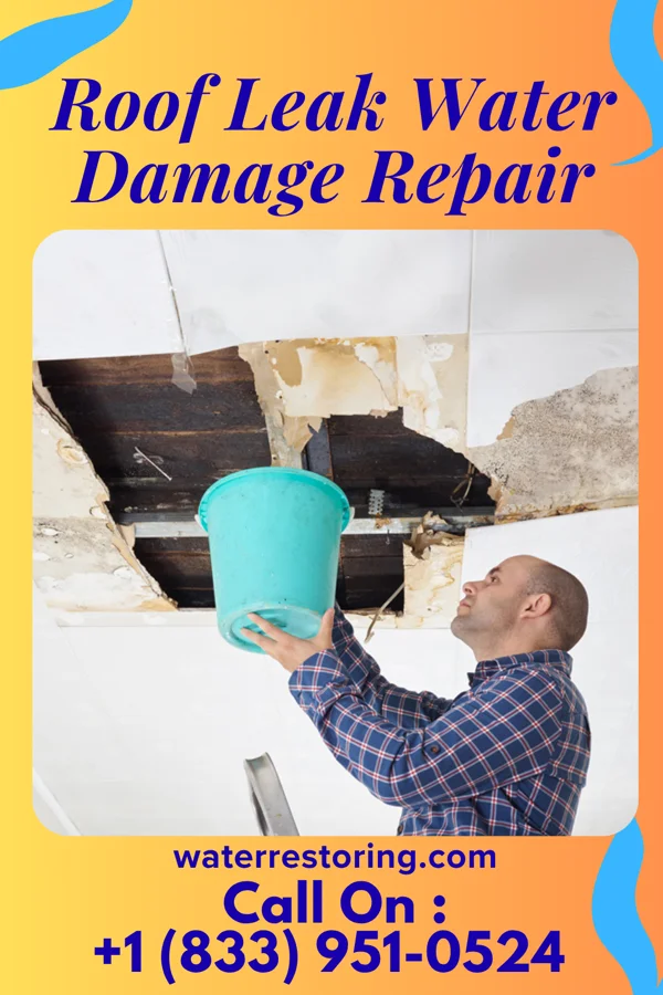 Roof Leak Water Damage Repair in Linden, AZ